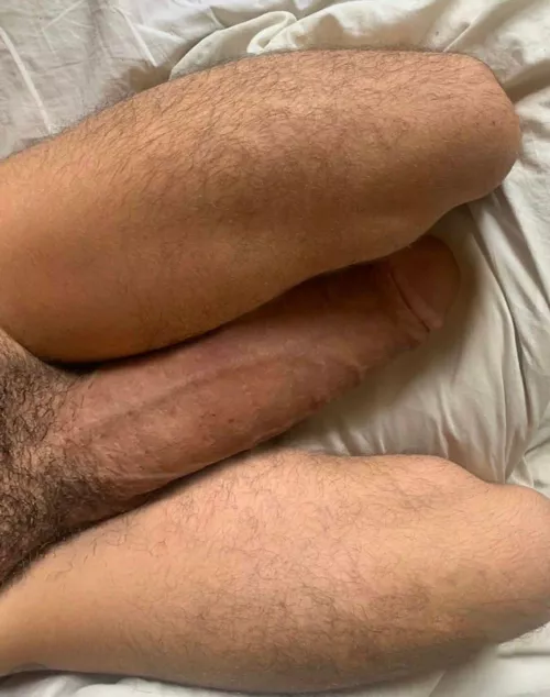 My hairy legs or my huge cock [22]
