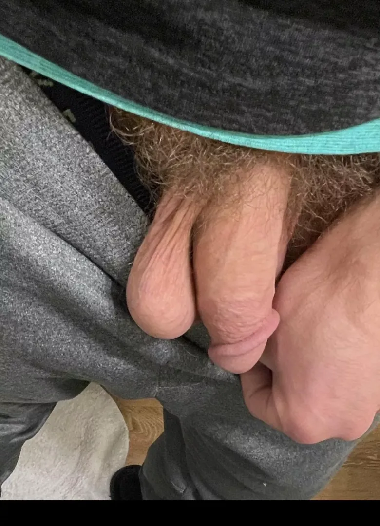 My hairy softie
