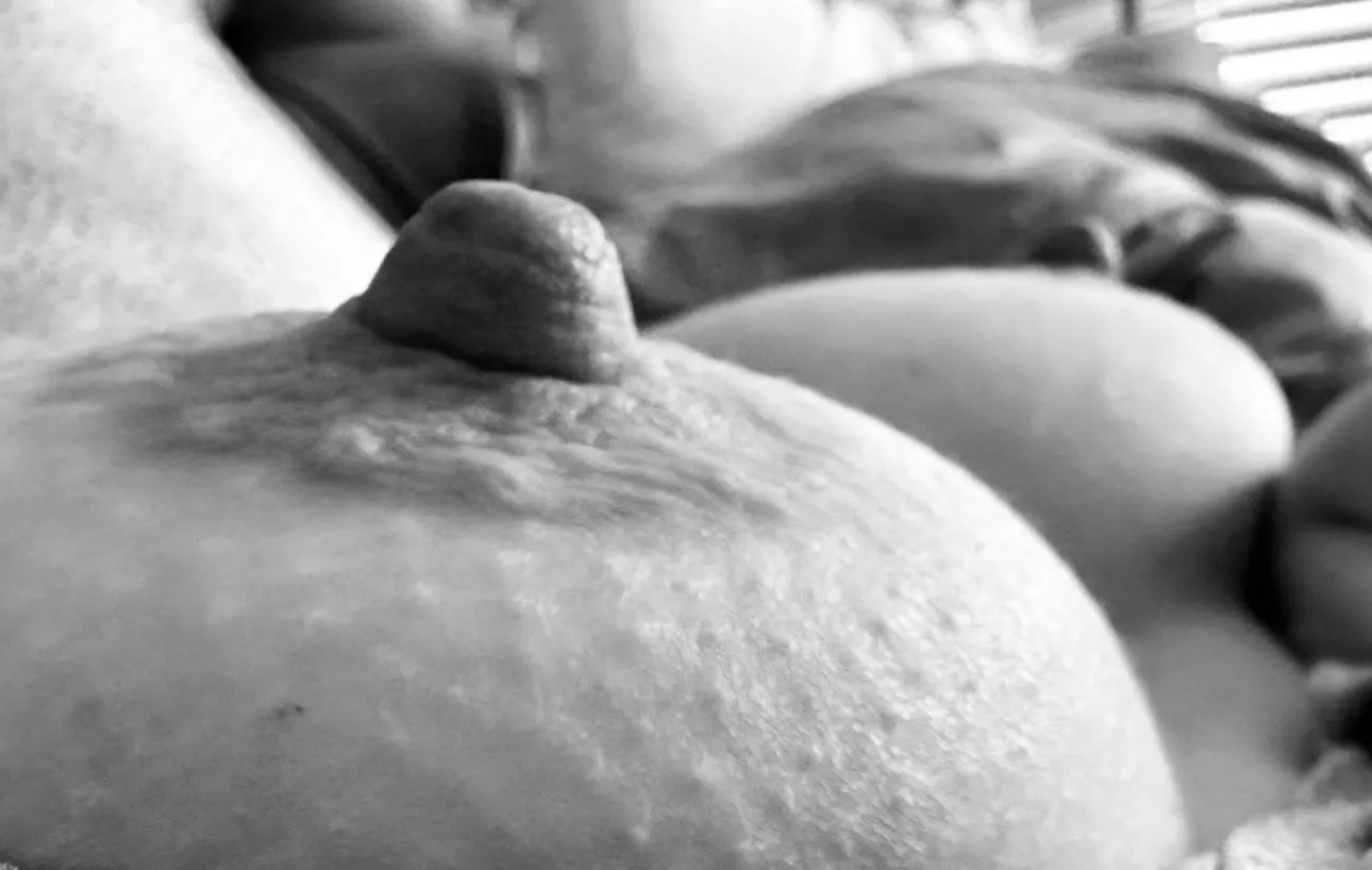My hard nipples 