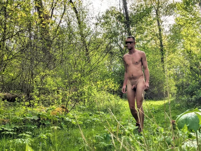 My hikes are looking greener every day