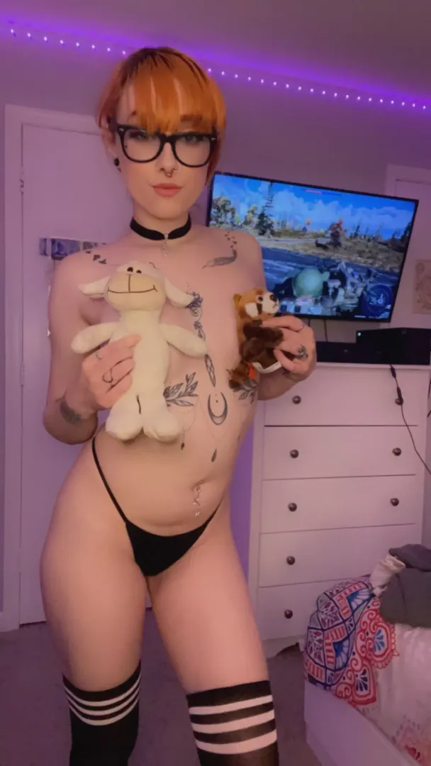 My little collection [f]