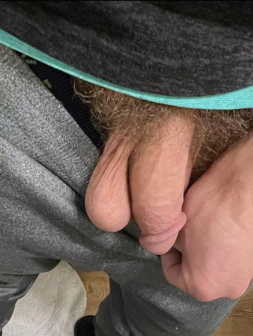 My low hangers