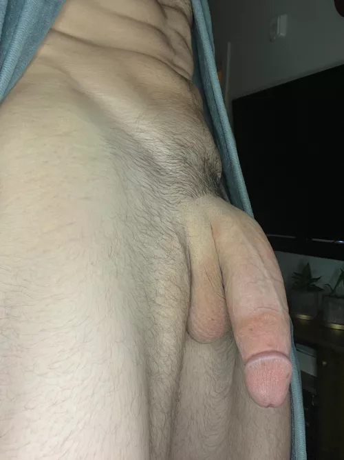 My massive softie 🍆
