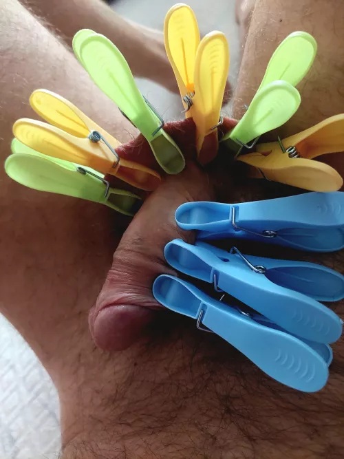 My master loves playing with clothespins