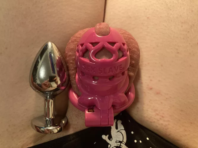 My medium plug is bigger than I am 😳