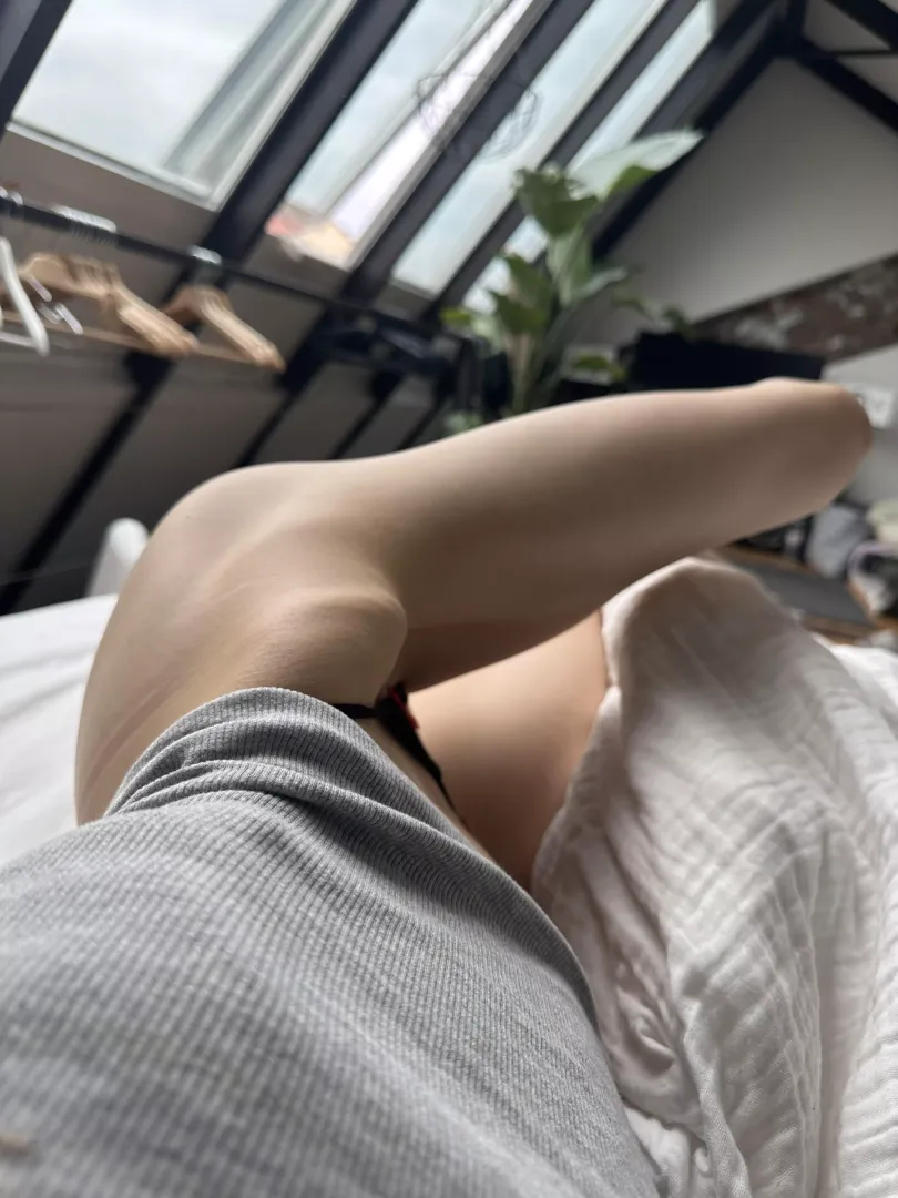 My morning view 