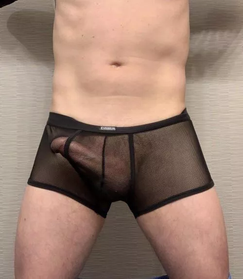 My new boxers [47]