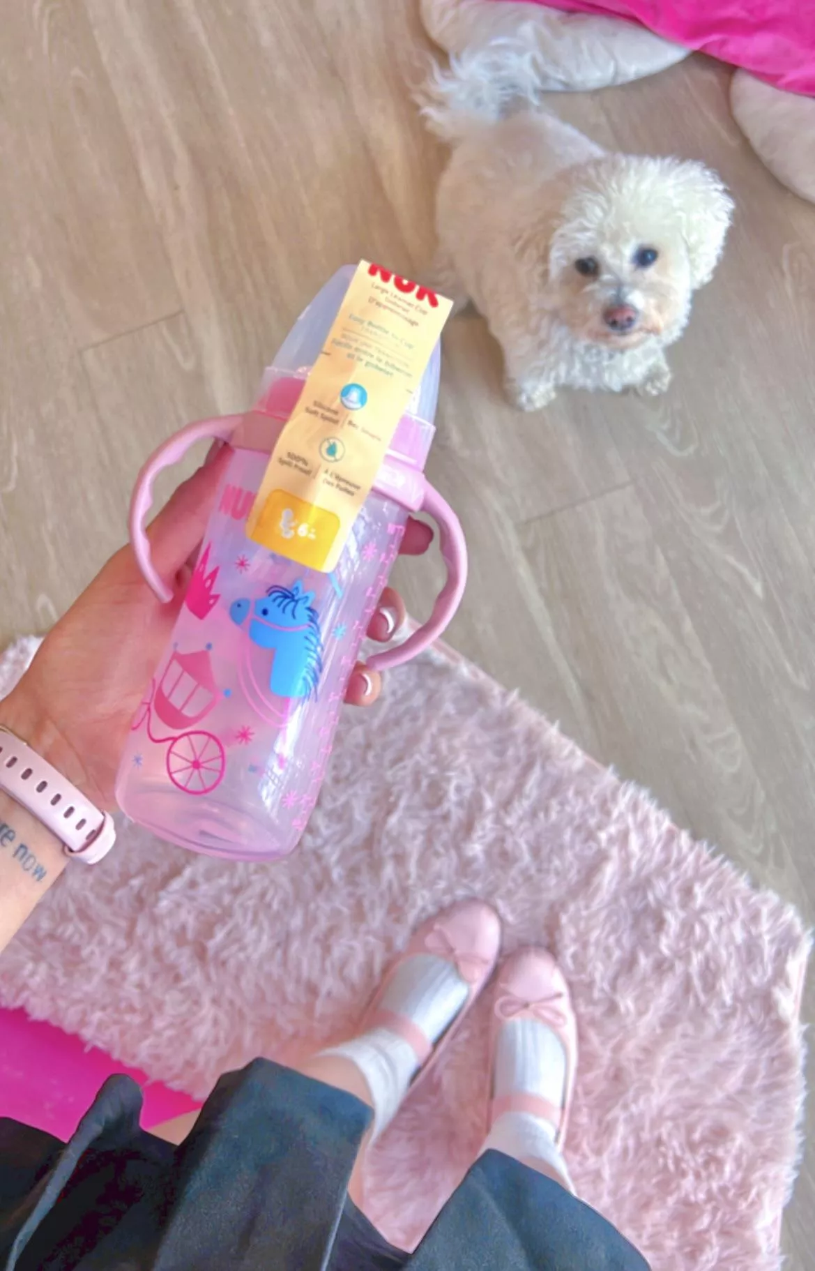 🎀🍼 my new sippy-bottle 