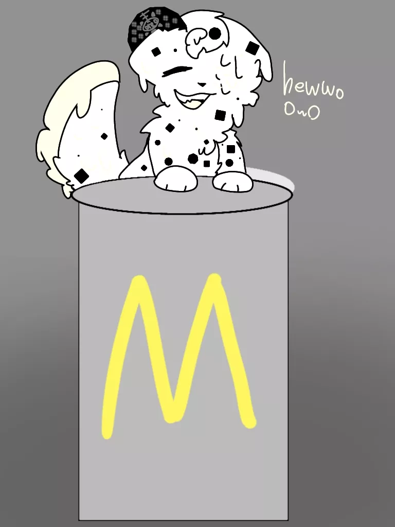My oreo mcfurry :]
