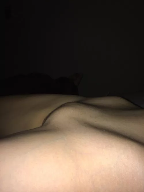 My pale bridge