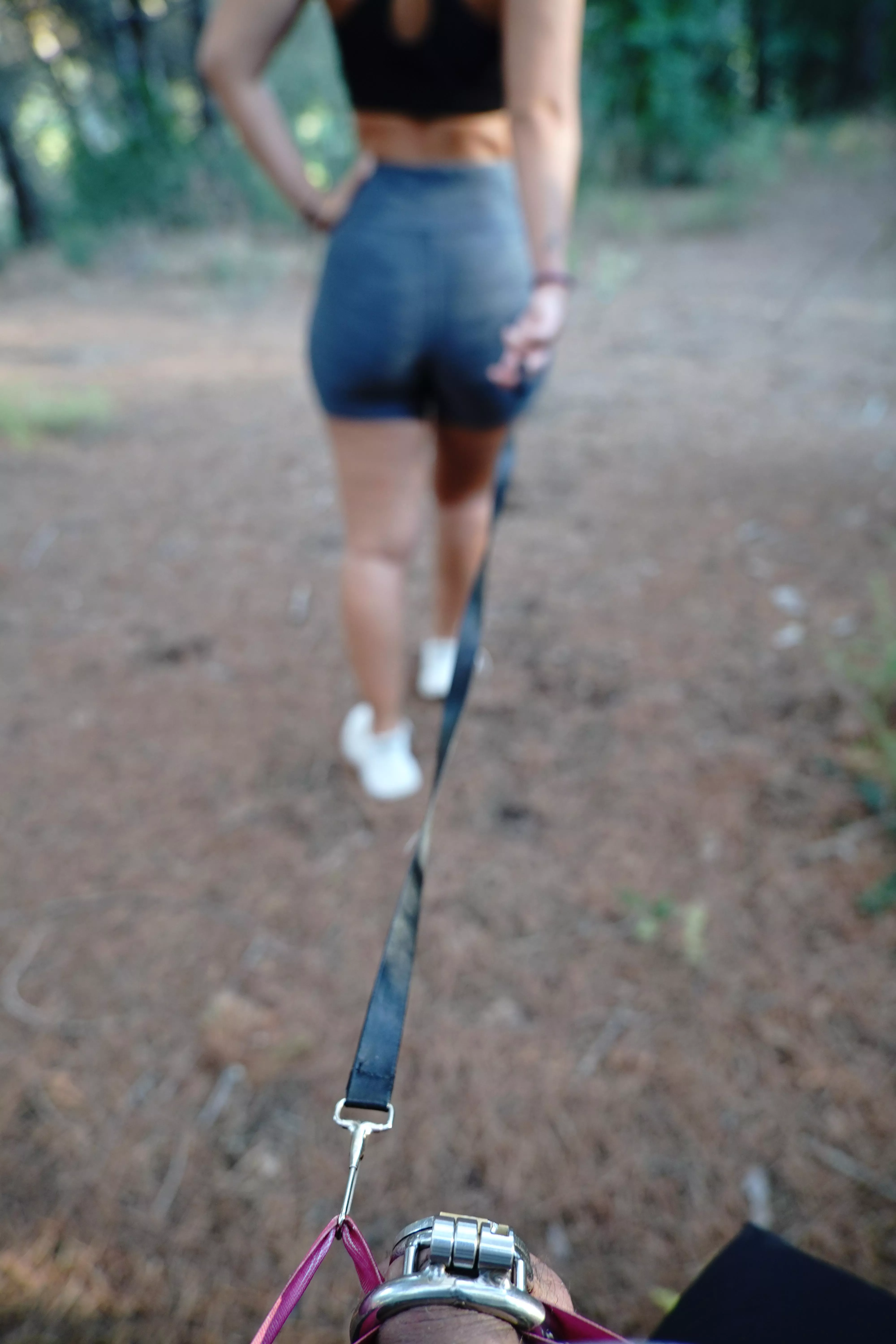 My pet can't complain! He has his daily walks!
