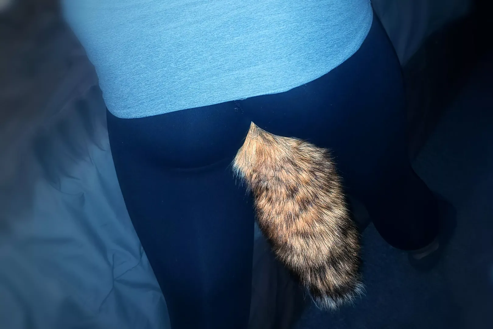 My plug tail!