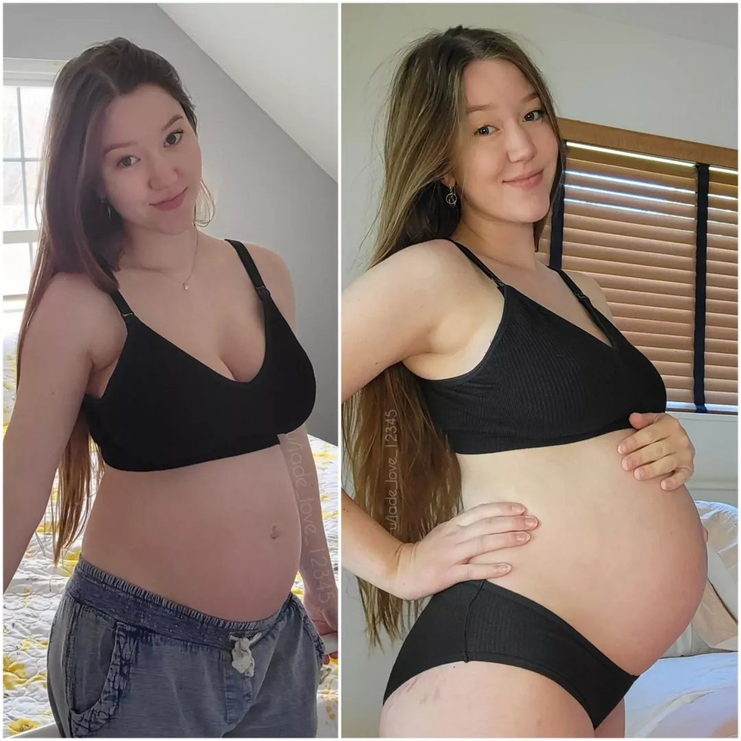 My pregnant belly is growing nicely