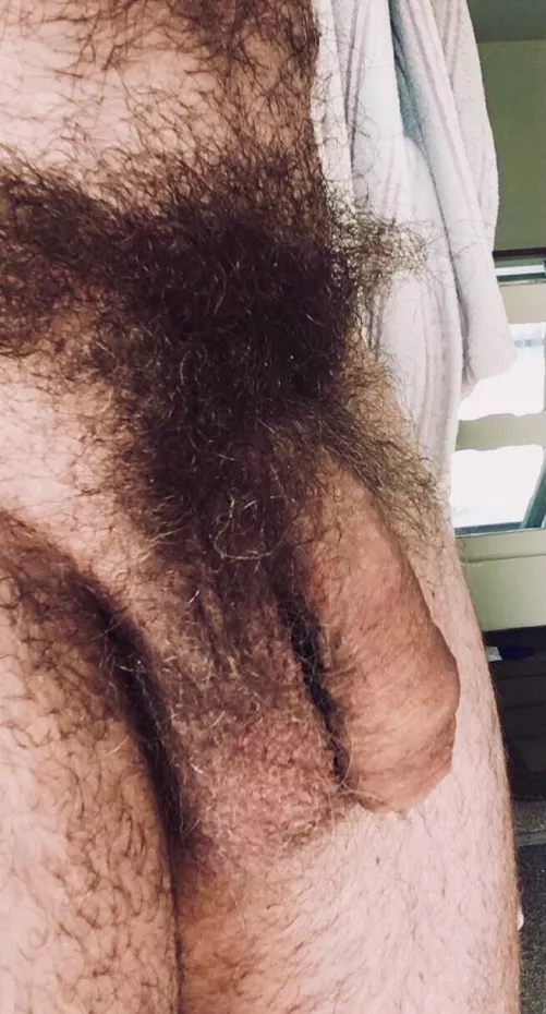 My pubes are so wild and long.