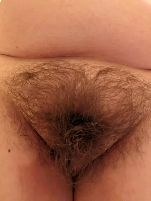 My pussy makes all the guys hard