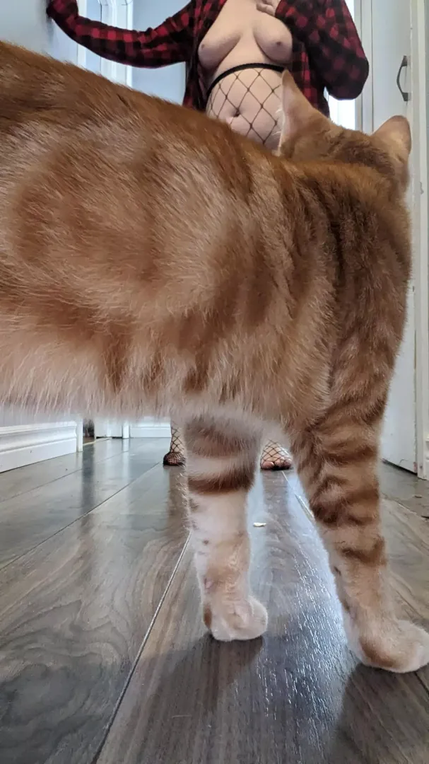 My pussy was ready for it's closeup.