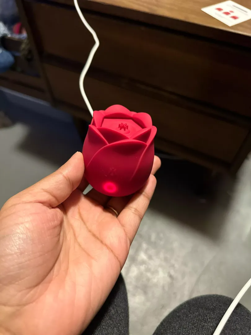 My rose came today 🥲