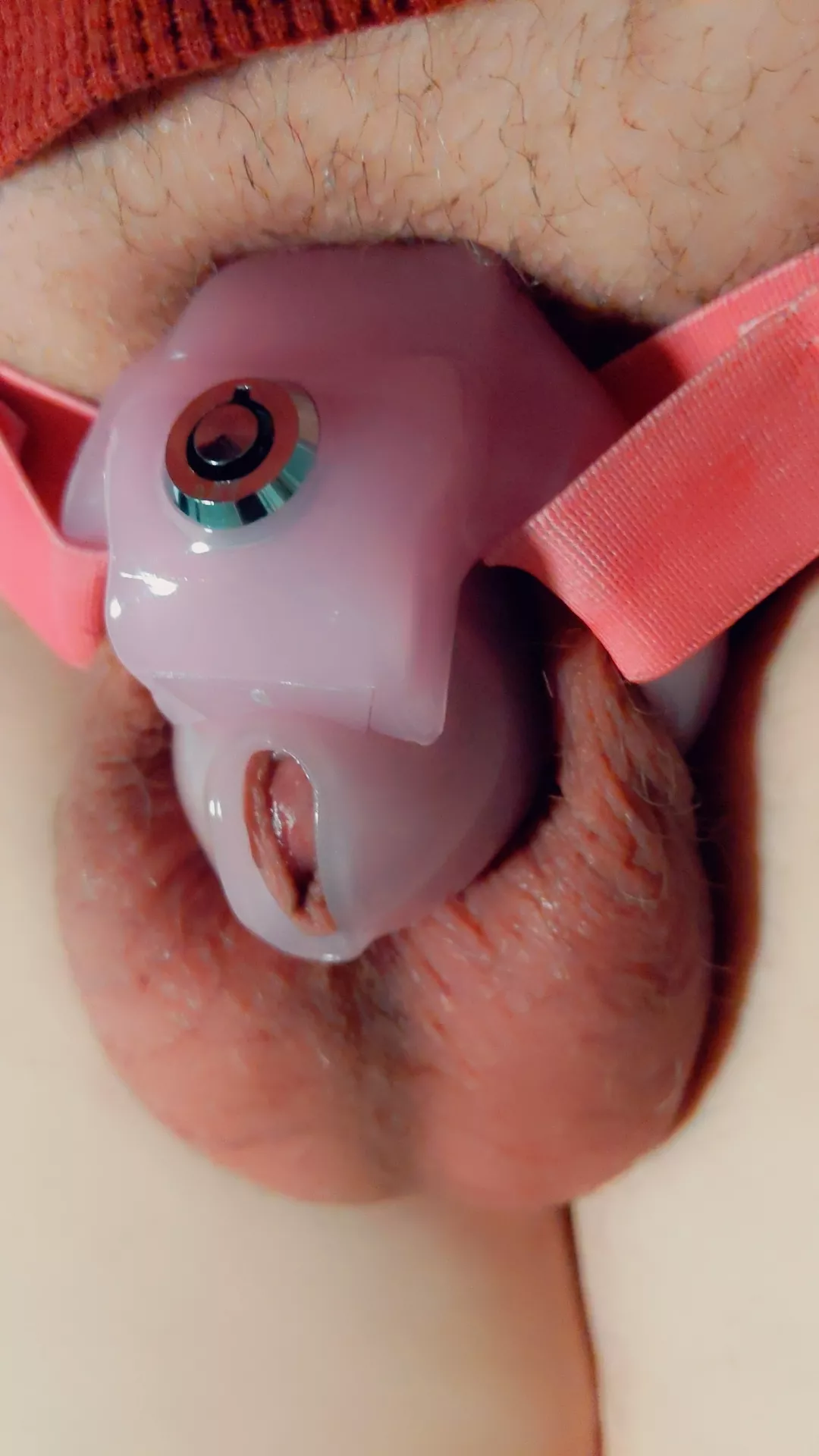 My smallest cage yet! Would you cover it in cum?