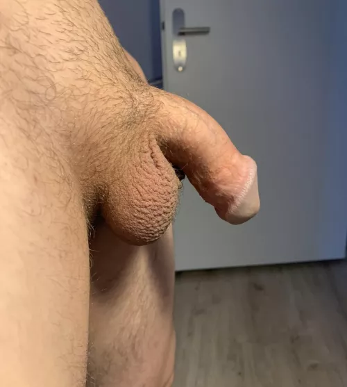 my softie sends his regards…