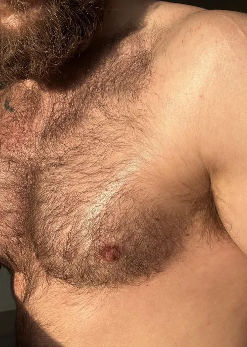 My sweaty and hairy chest in the sun
