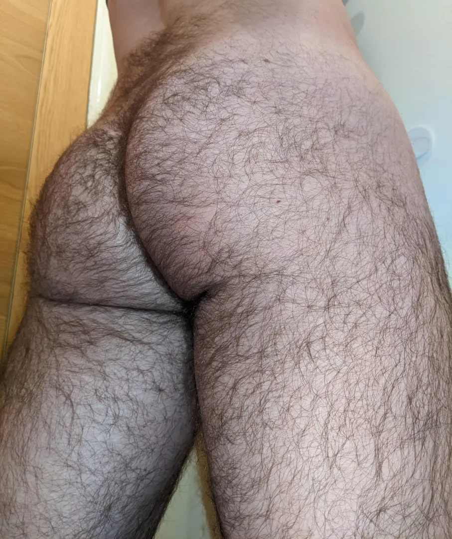 My very hairy 🍑