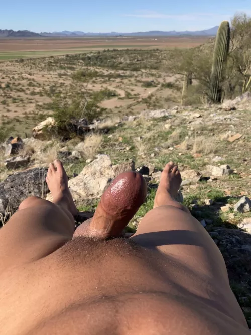 My view from up high