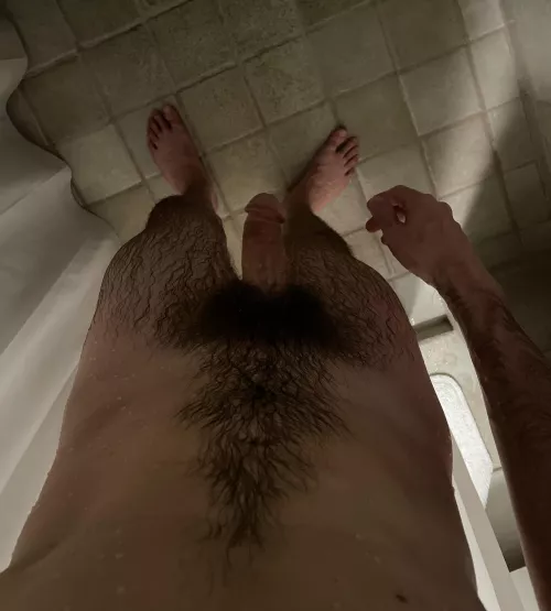 My wet bush