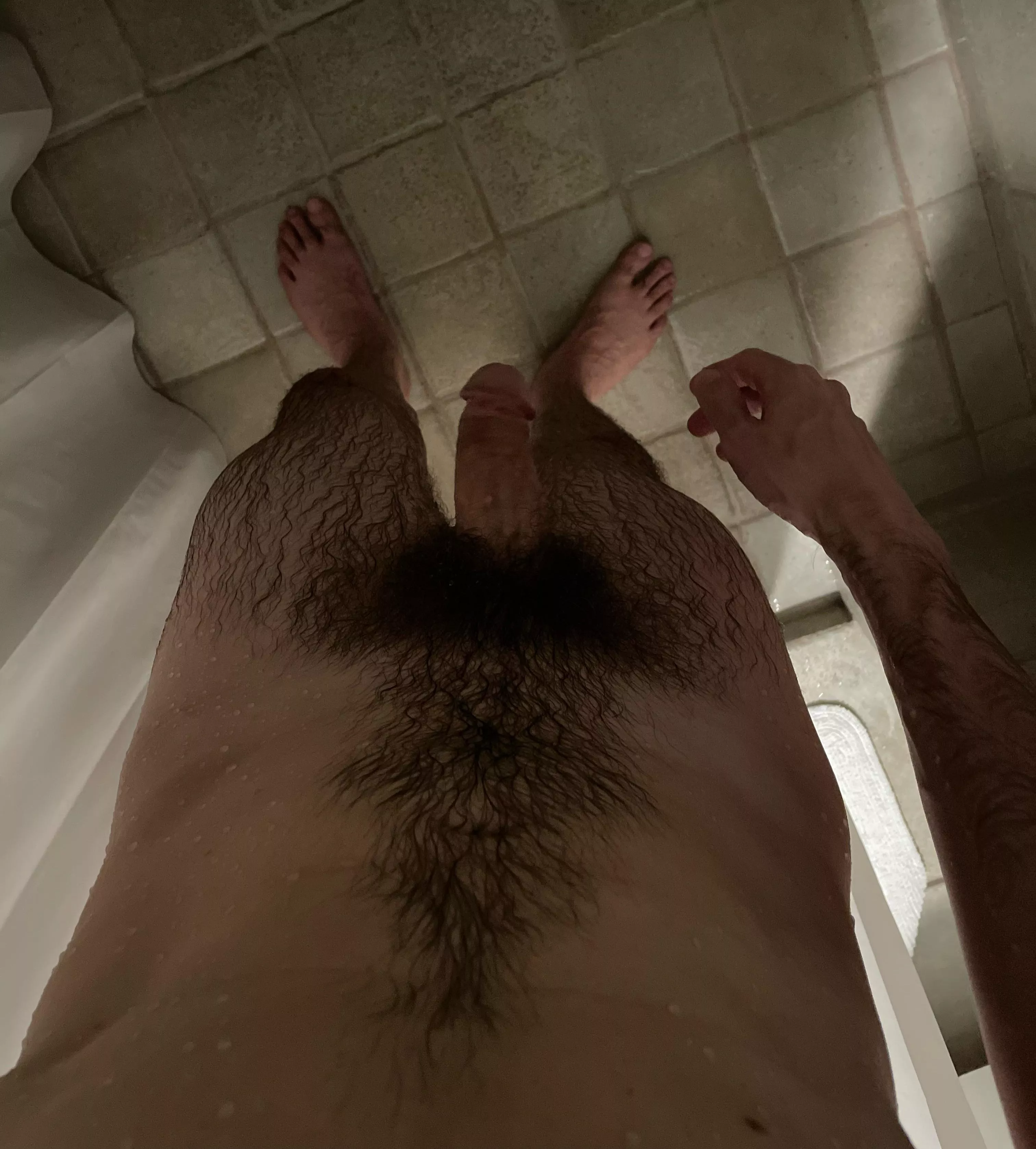 My wet bush