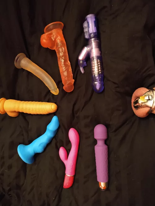 my wife is about to have her 600th orgasm since locking me up 6 months ago. which toy should she use to make this milestone?
