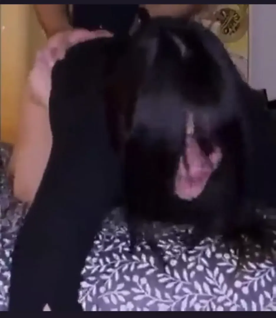 Name?