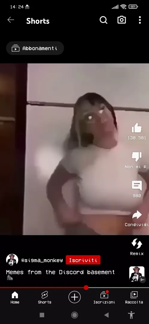 name/link?