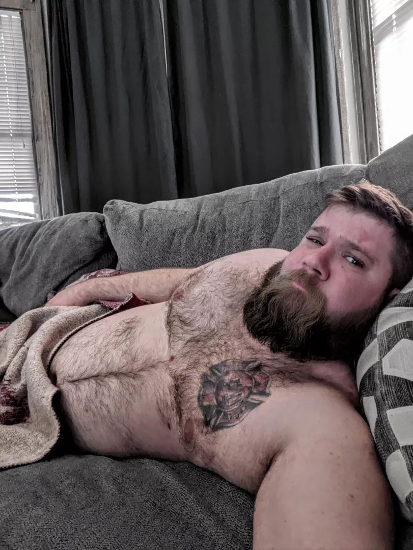 Nap on the couch?