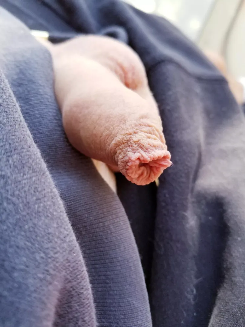 natural softie