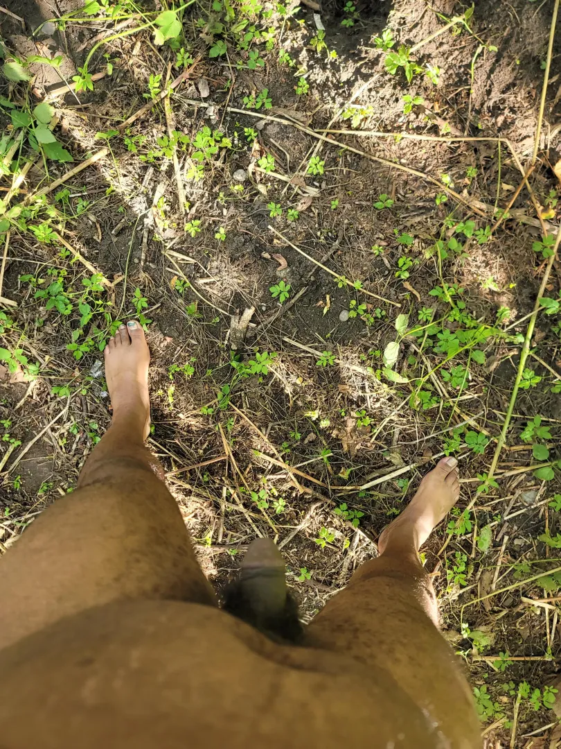 nature walk anyone?