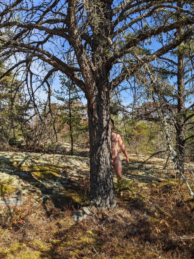 Nature's Camouflage