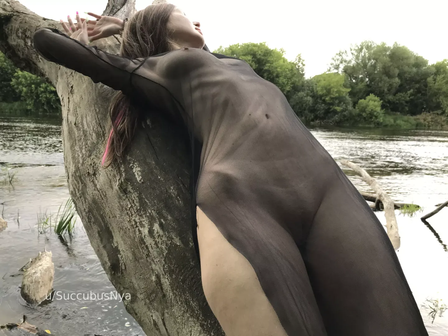 Nature's Peace