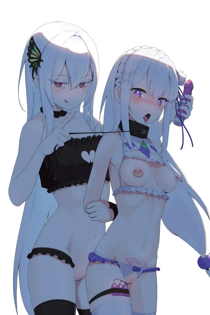 Naughty Echidna playing with Emilia (By MiOK_TTY) [Re-Zero]