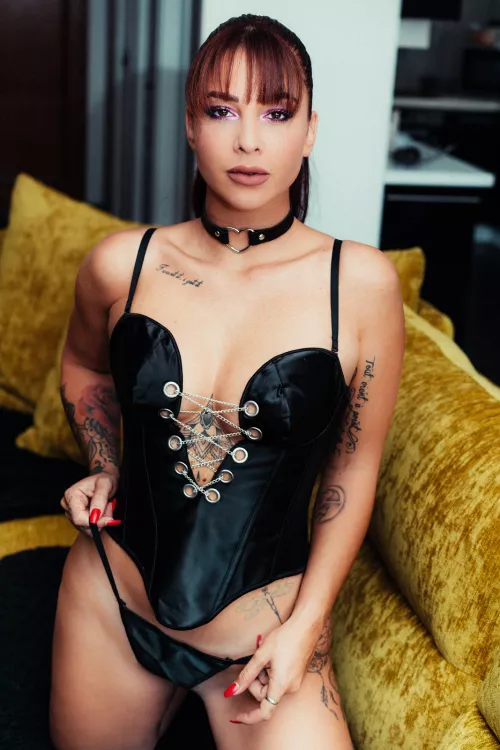 Naughty frenchie on duty