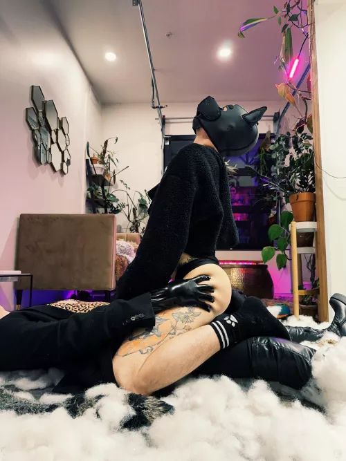 Naughty full moon pup awroooo 🐺🐾🌝