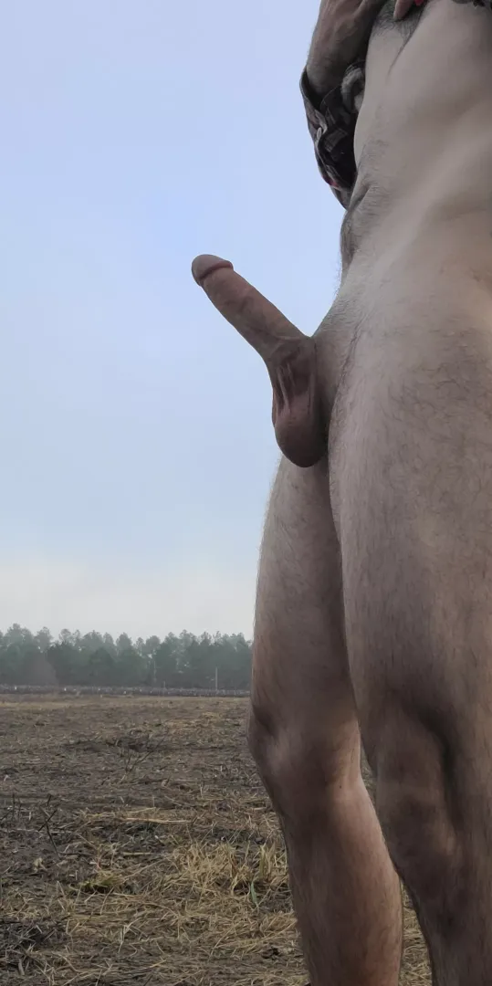 need a good bottom to use in my field
