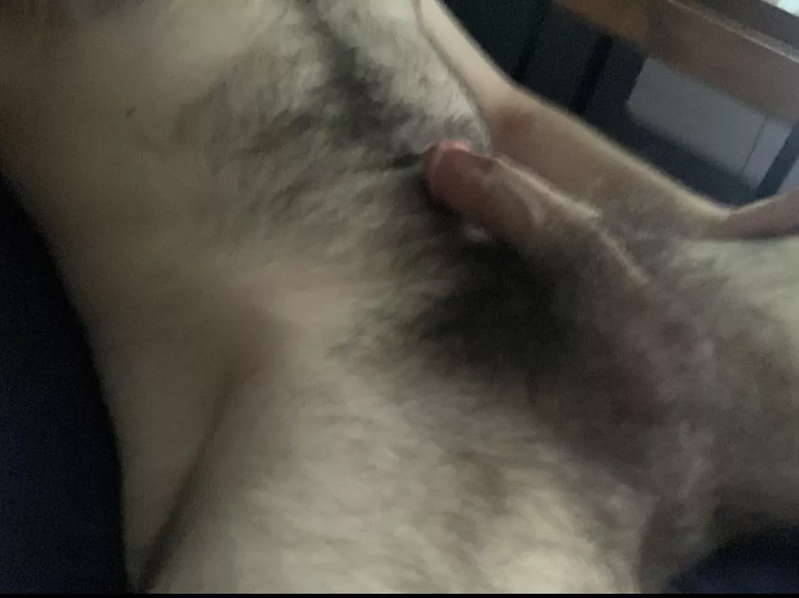 Need a good boy to suck this hairy cock