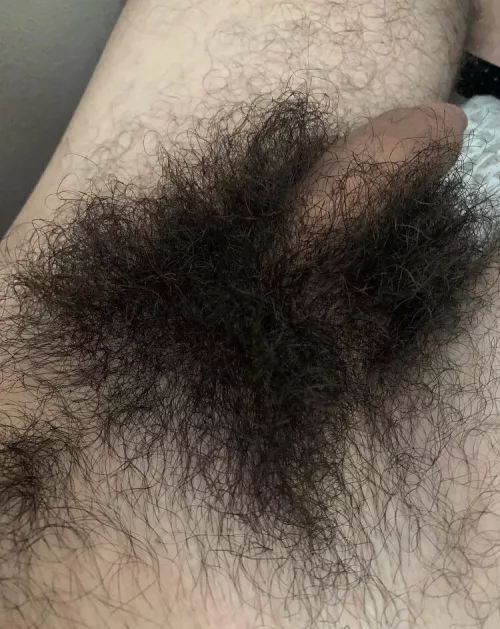 need a hairy boy to make it hard