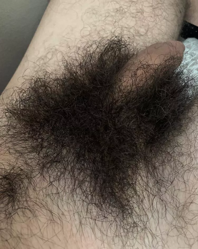 need a hairy boy to make it hard