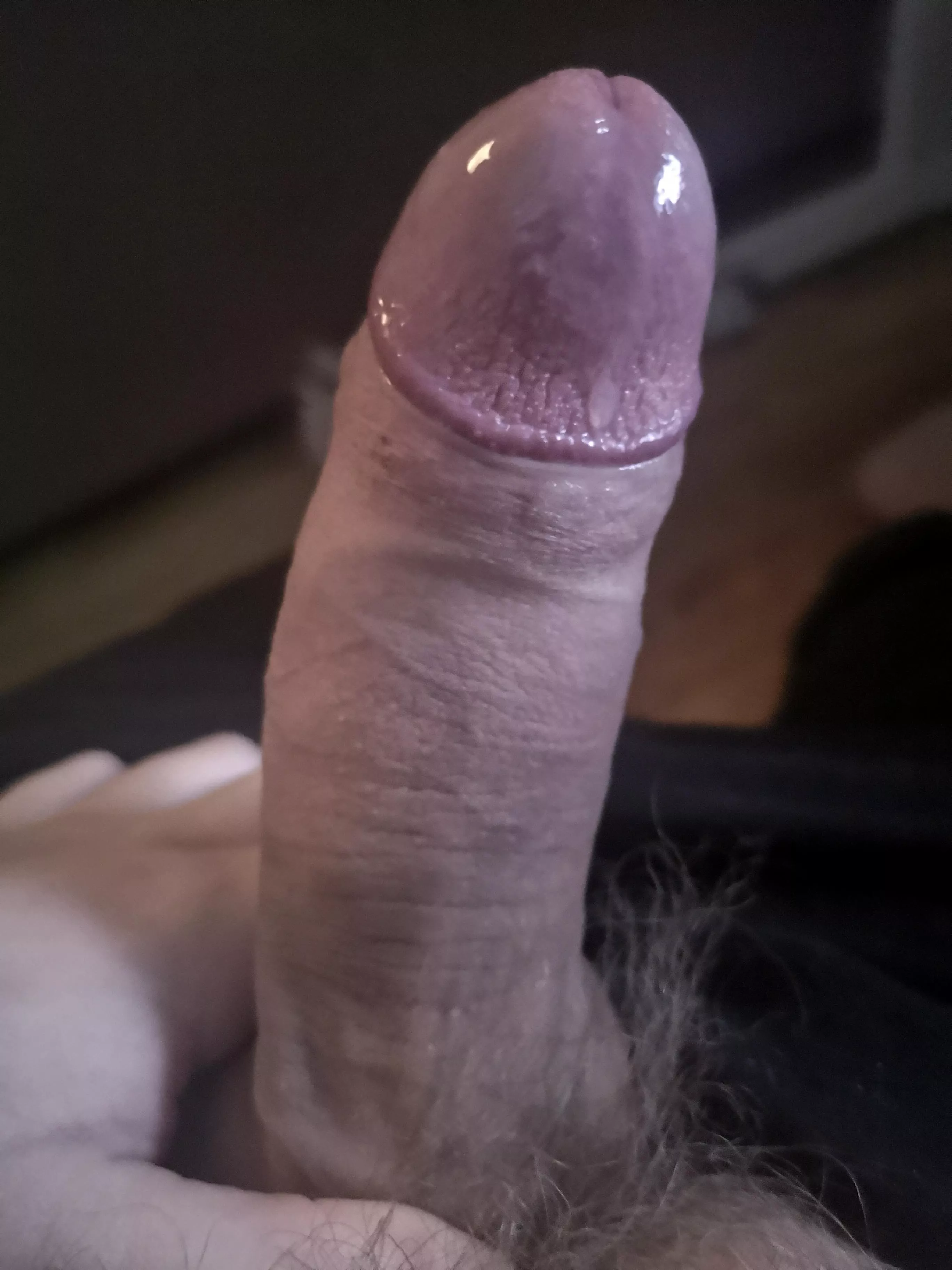 Need a tight ass to breed