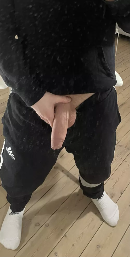 Need an alpha bro in your life?