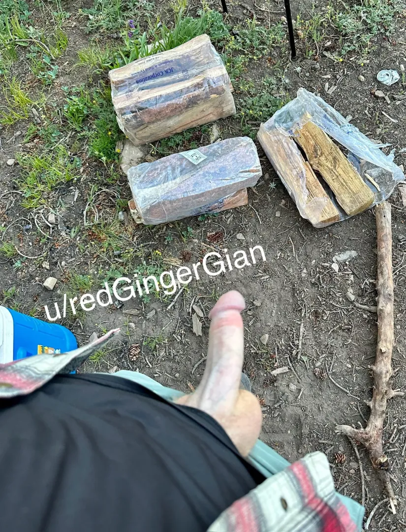 Need some wood?