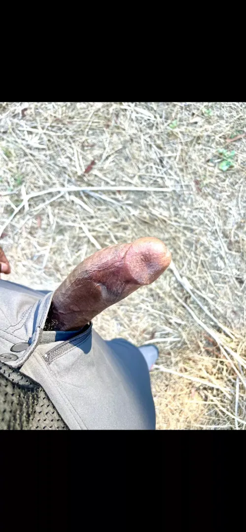 Needed to let him breathe on the trail