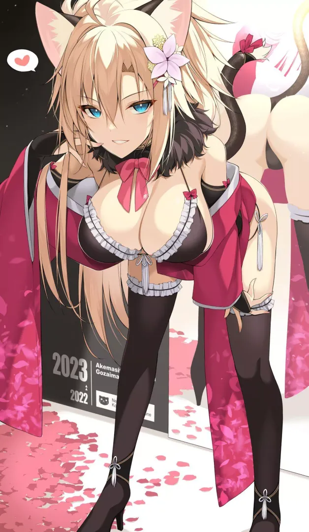 Neko bikini