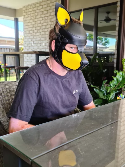 New blind pup, how does this work? 🤪