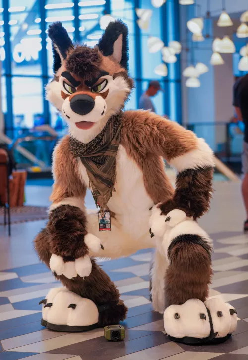 New boy is ready to give soft hugs & cuddles, you up for it? 😏